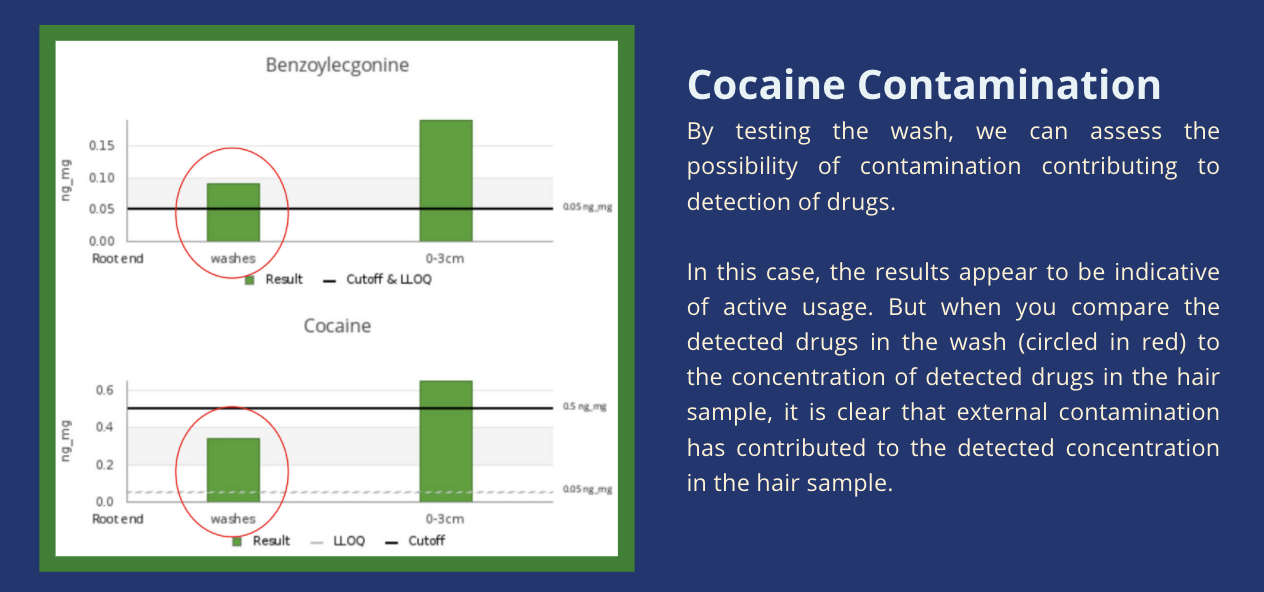 Hair Strand Drug Testing The Importance of the hair wash (infographic